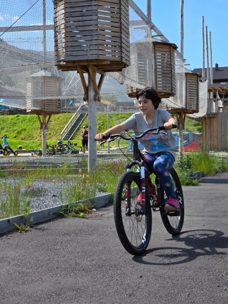 alma bici