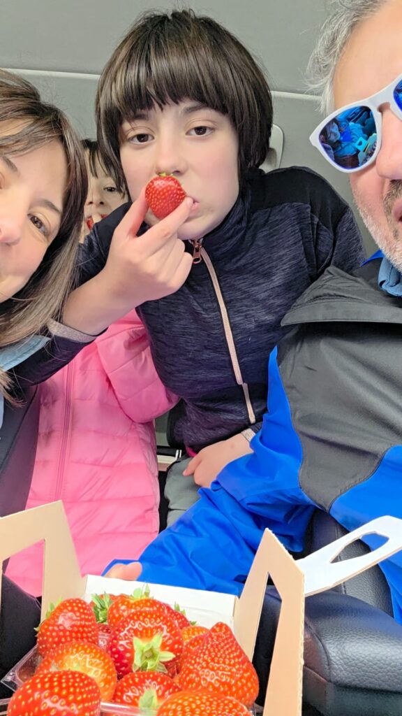 alma e le fragole