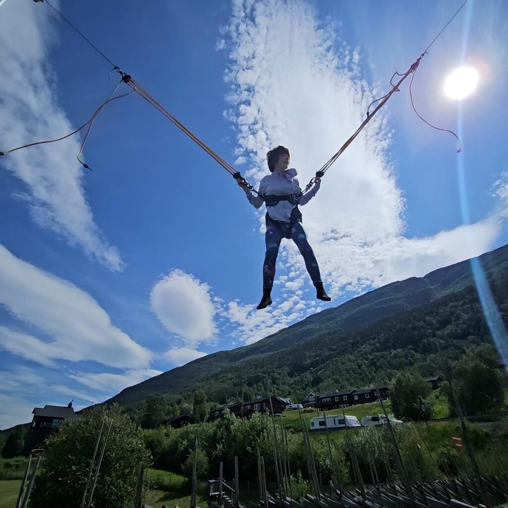 alma volante