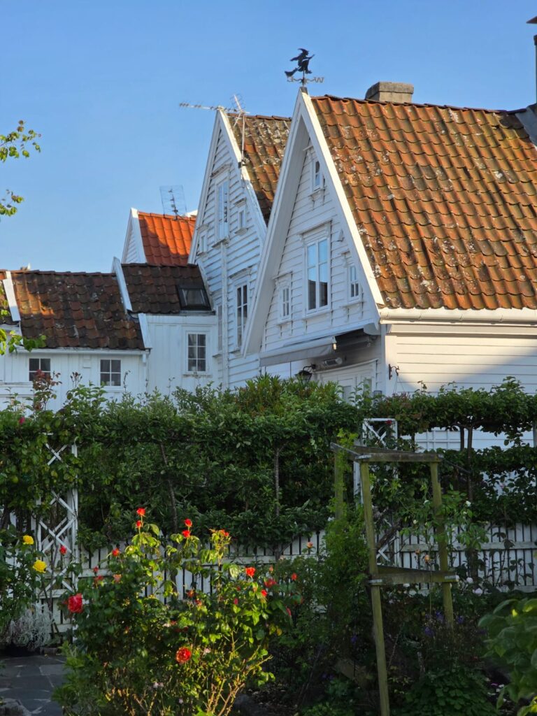 case gamle