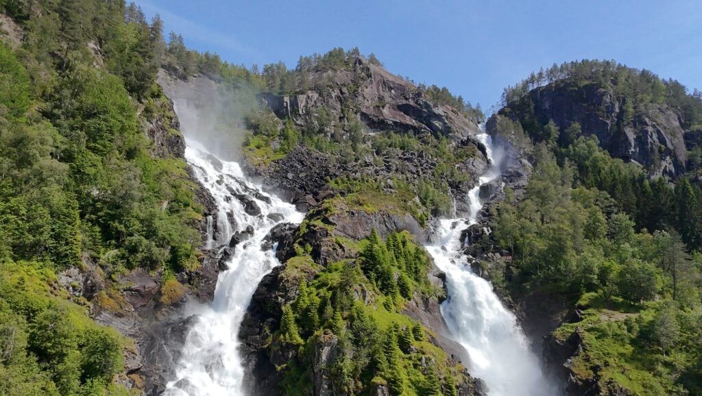 latefoss