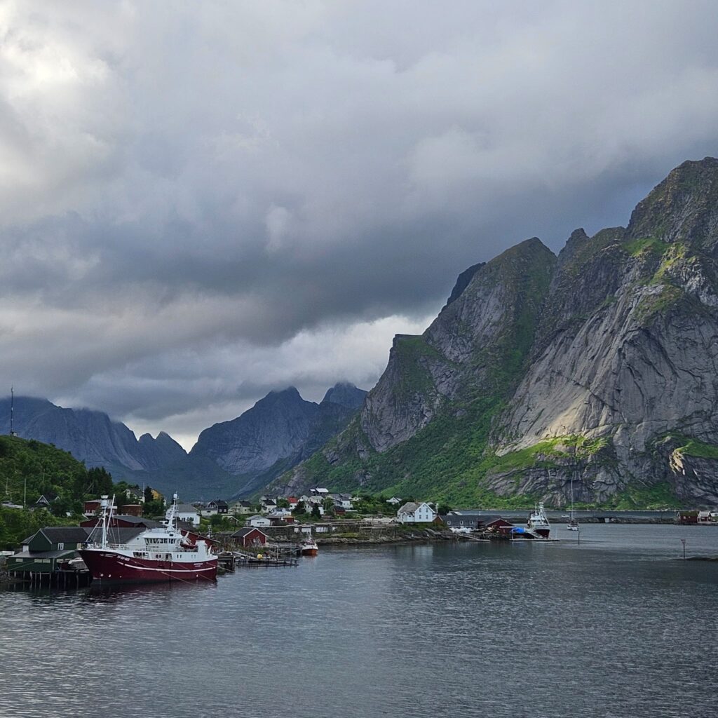 reine 3